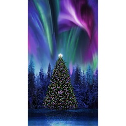 Multi - X-Mas Tree Under Aurora Borealis